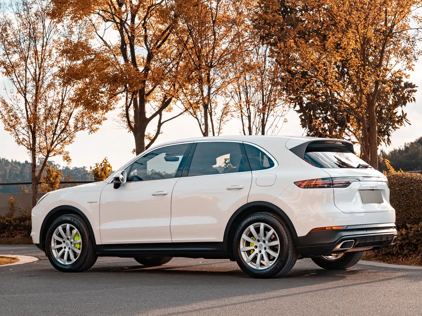 PORSCHE CAYENNE NEW ENERGY