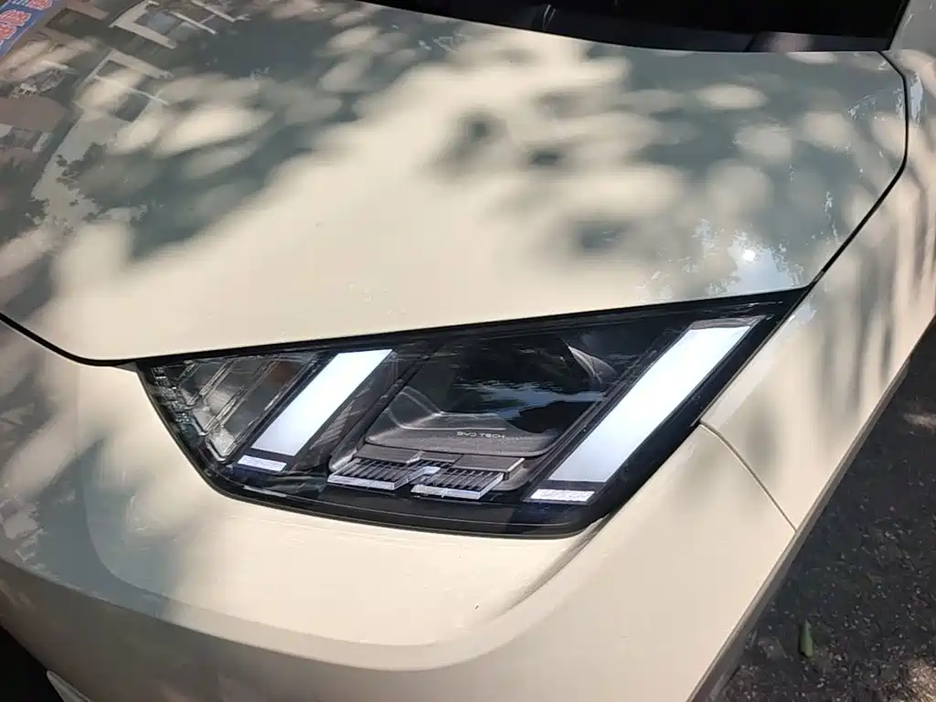 BYD Seagull 2026 2025 Smart Drive Edition 305km Freedom Version