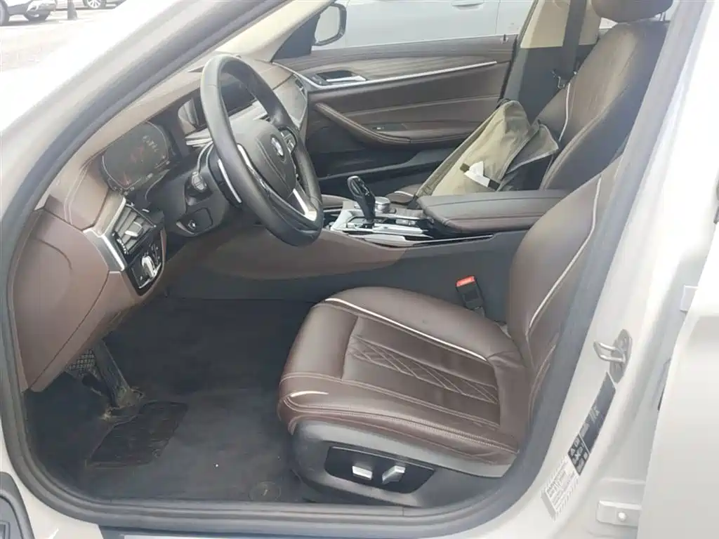 BMW 5 Series 2020 530Li xDrive Luxury Package фото 22