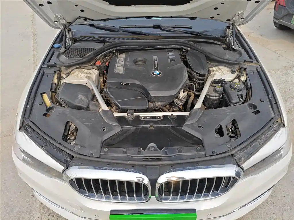 BMW 5 Series 2018 Facelift 530Li Leading Luxury Package фото 20