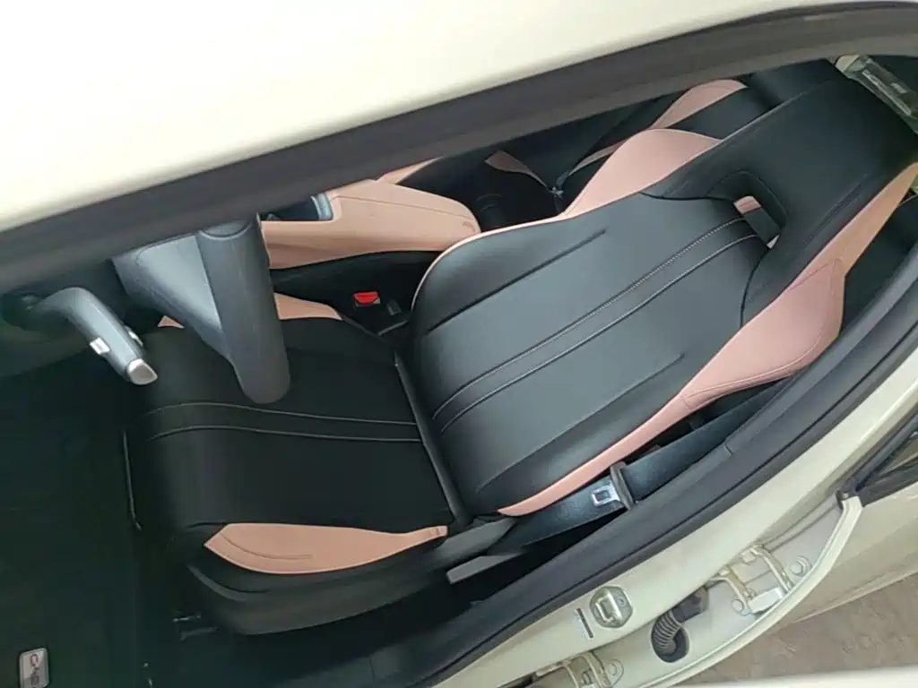 BYD Seagull 2026 2025 Smart Drive Edition 305km Vitality Version