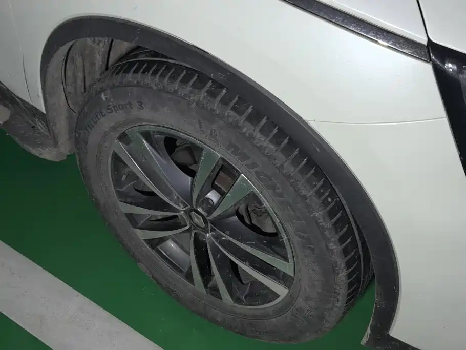 Renault Koleos 2019 2018 2.0L 2WD 120th Anniversary Limited Edition