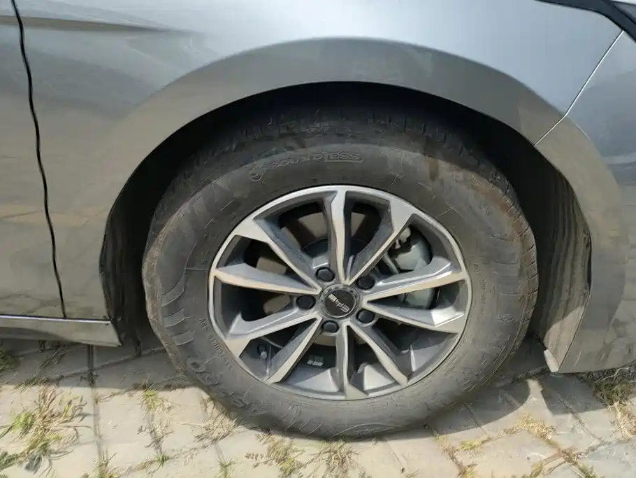 BYD Destroyer 05 2025 2024 Glory Edition DM-i 55KM Luxury