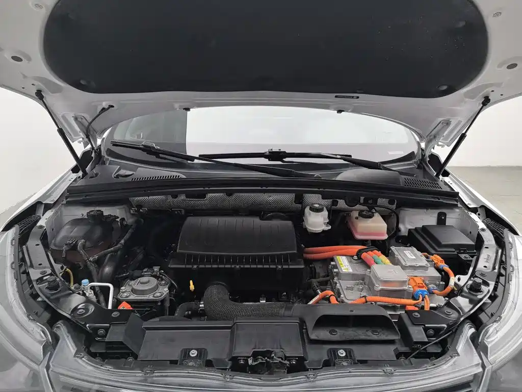 Denza X 2021 2020 Model PHEV Flagship Edition