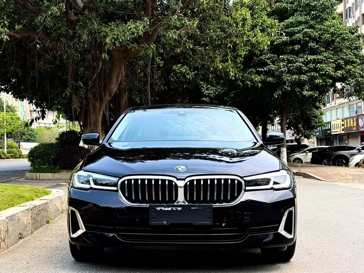 BMW 5 Series 2022 530Li Leading Luxury Package