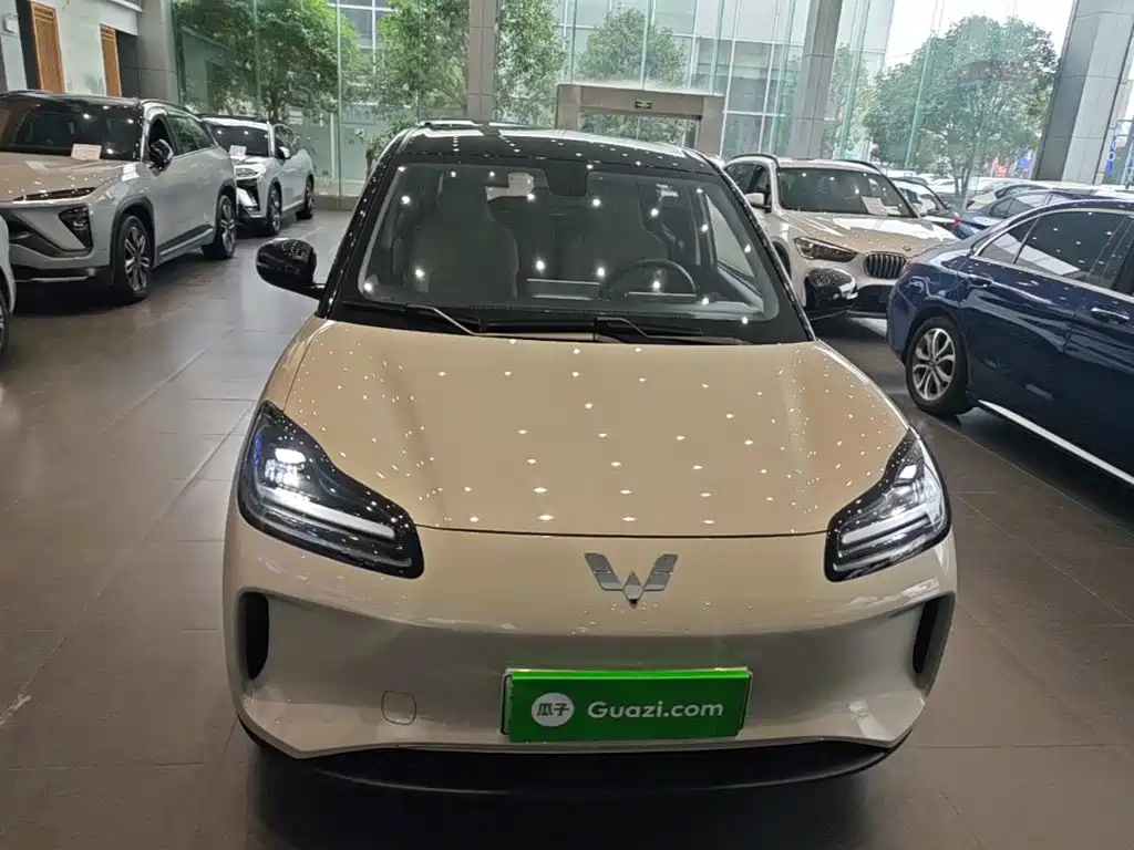 Wuling Motors Wuling Binguo PLUS 2024 2024 Model 330km 5-Seater
