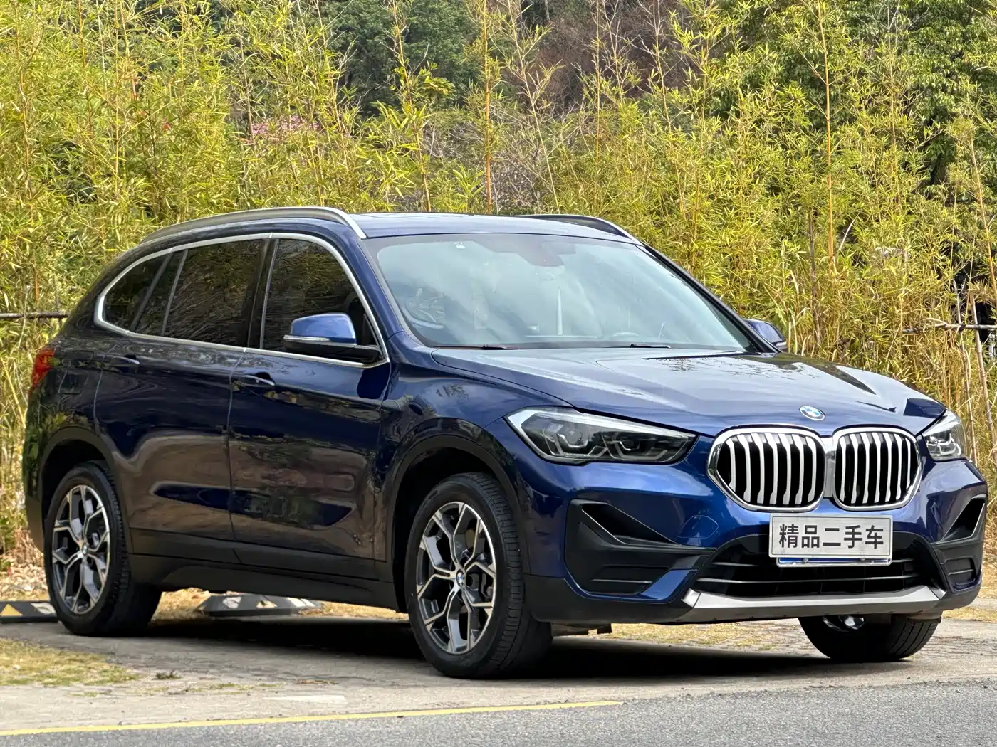BMW X1 2020 sDrive25Li Leading Model фото 3