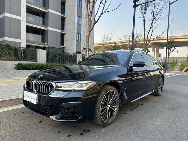 BMW 5 SERIES