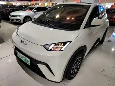 BYD Seagull