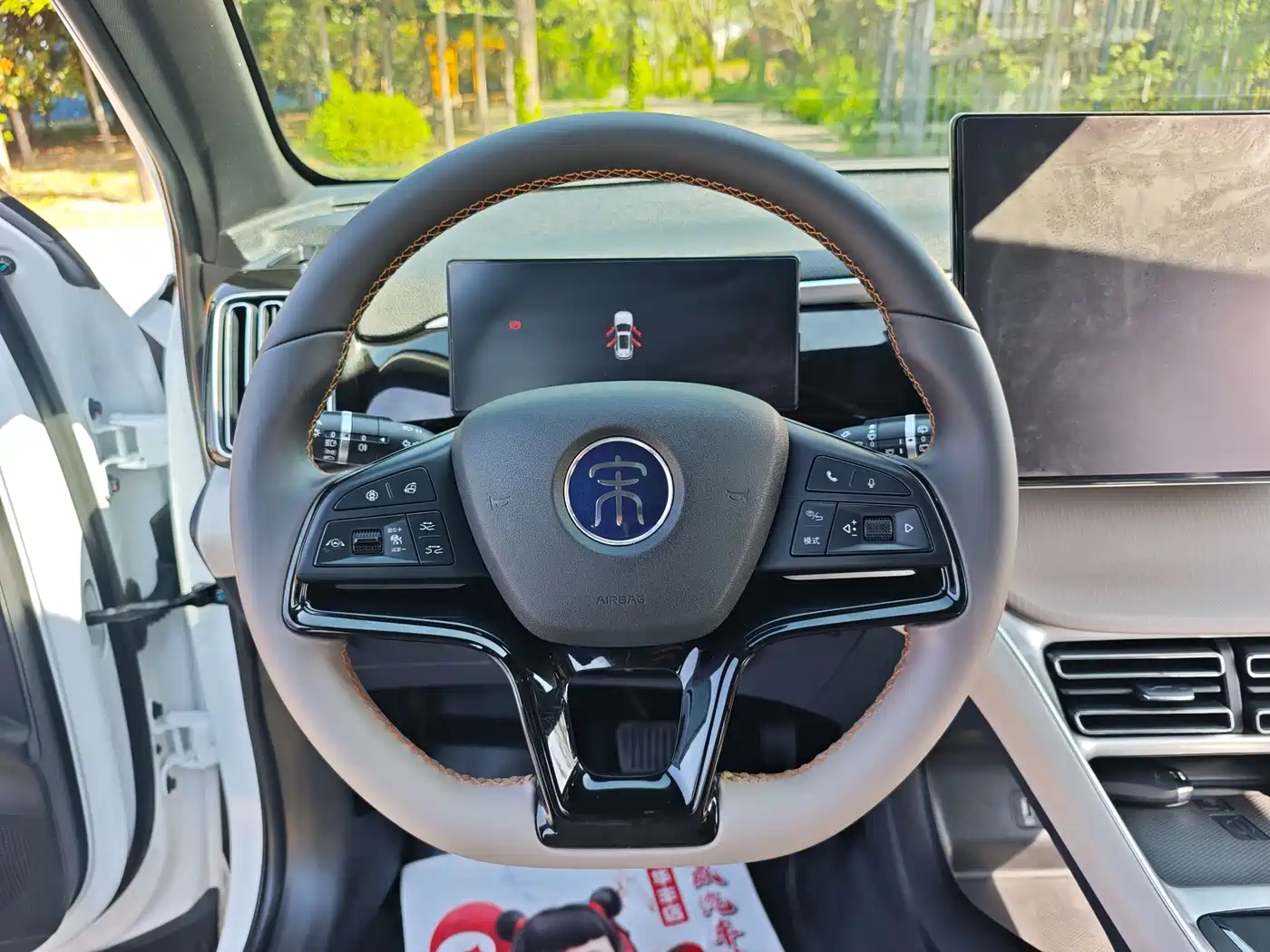 BYD SONGJIANG NEW ENERGY