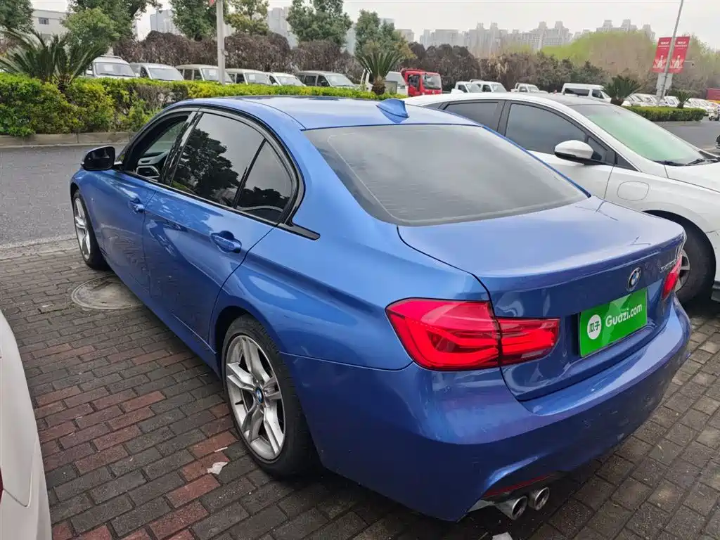 BMW 3 Series 2019 320Li M Sport Package фото 5