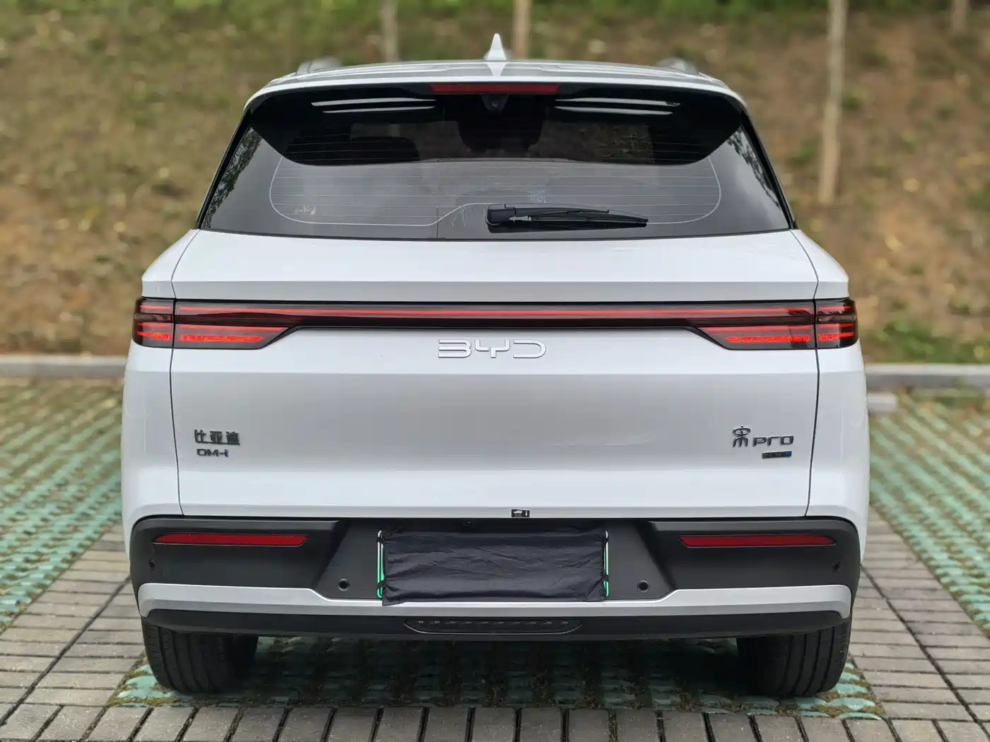 BYD SONGJIANG NEW ENERGY