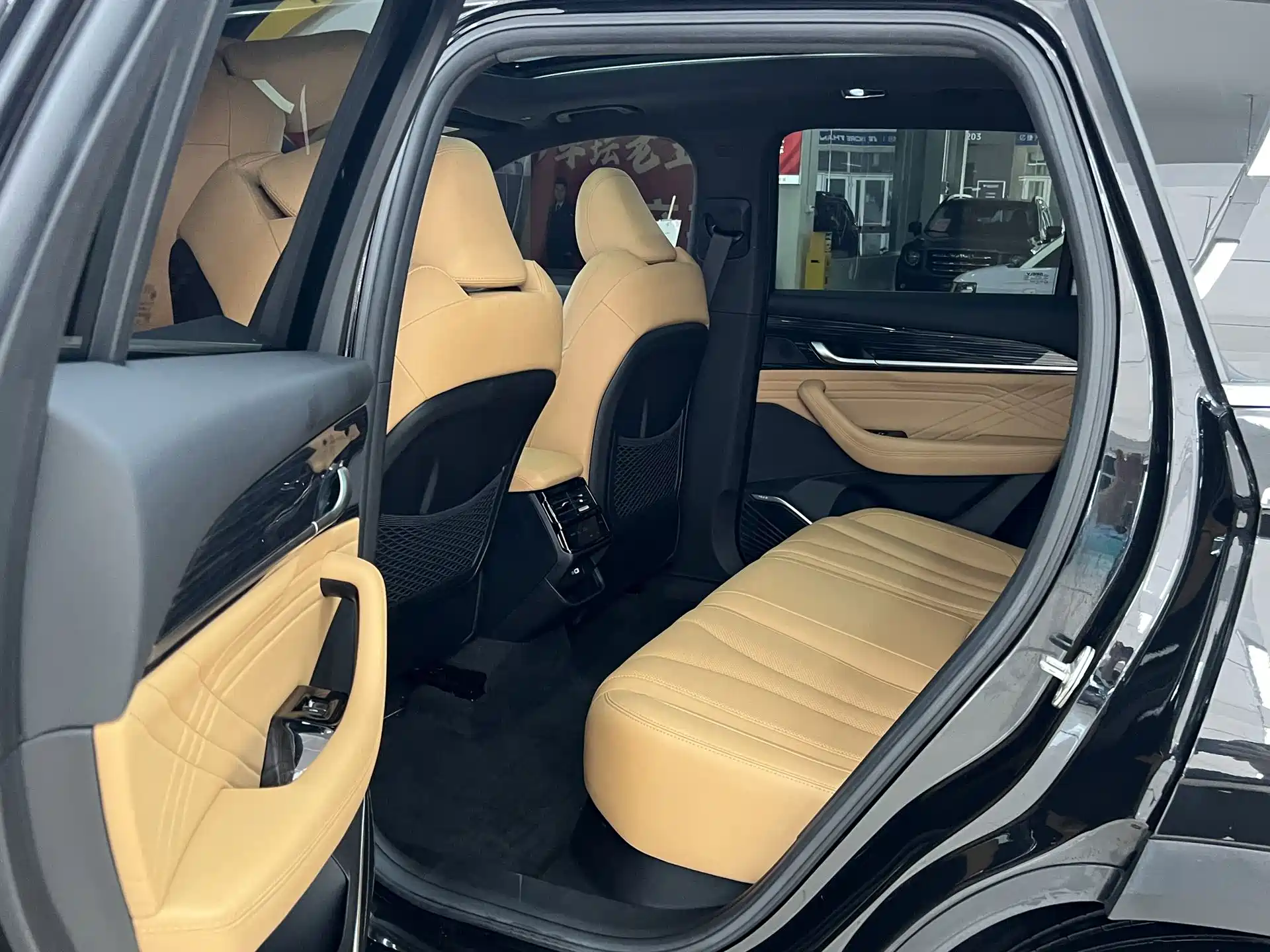 Фото 6 - Geely Monjaro