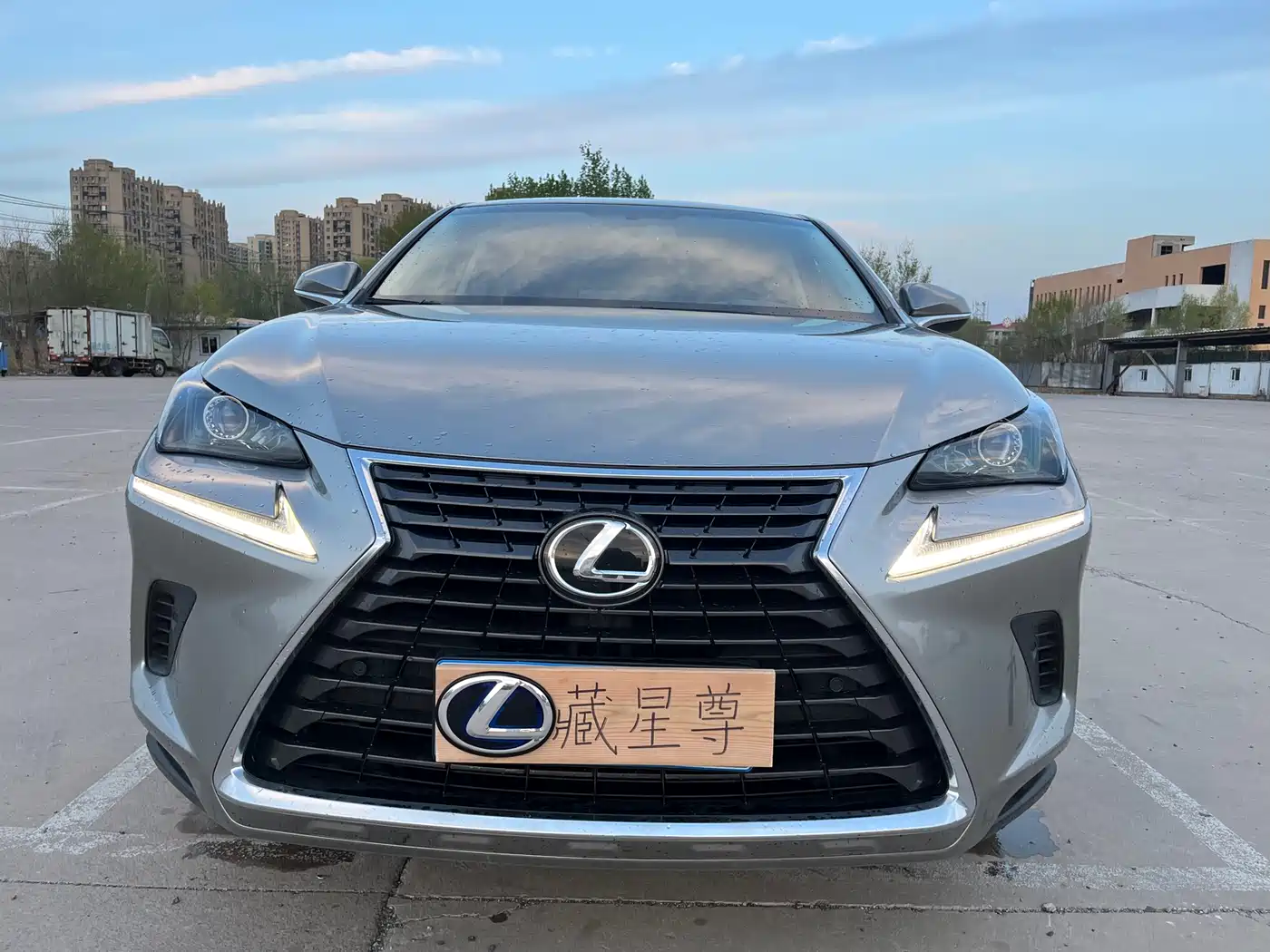 Lexus NX 2018 Model 300 FWD Fengxing Edition фото 5