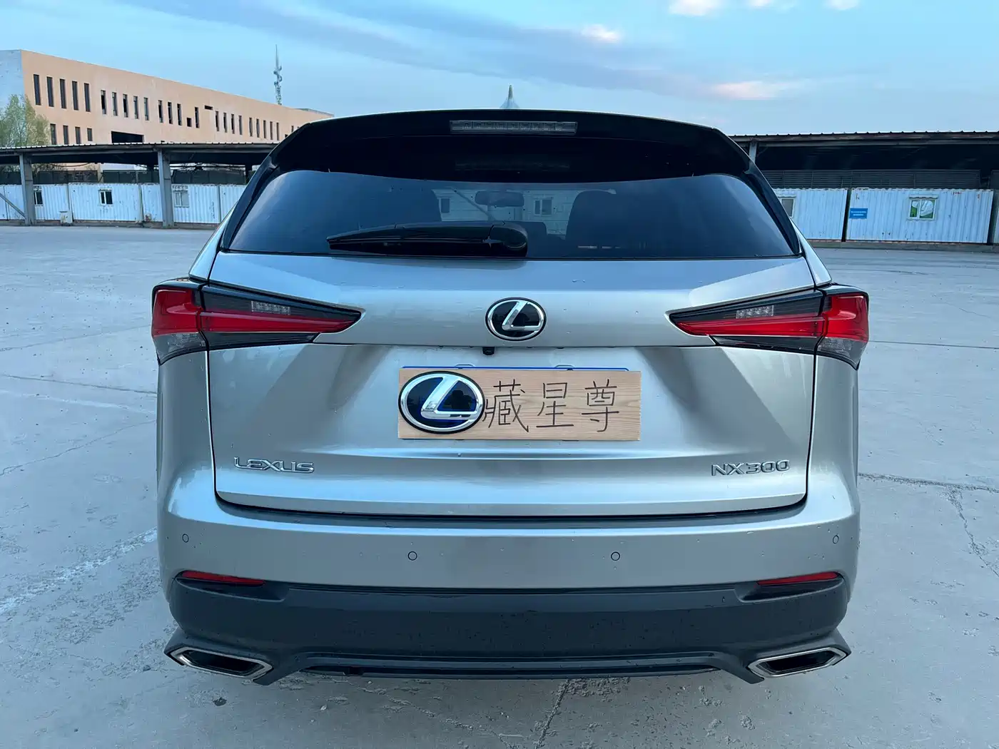 Lexus NX 2018 Model 300 FWD Fengxing Edition фото 19