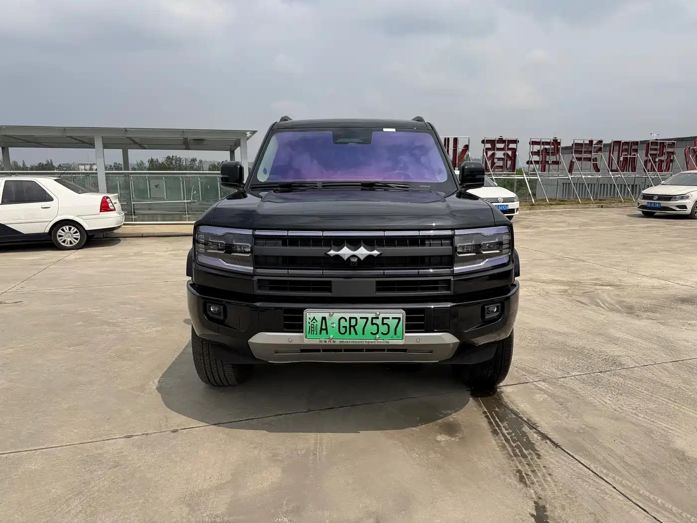 FANG CHENG BAO LEOPARD 5