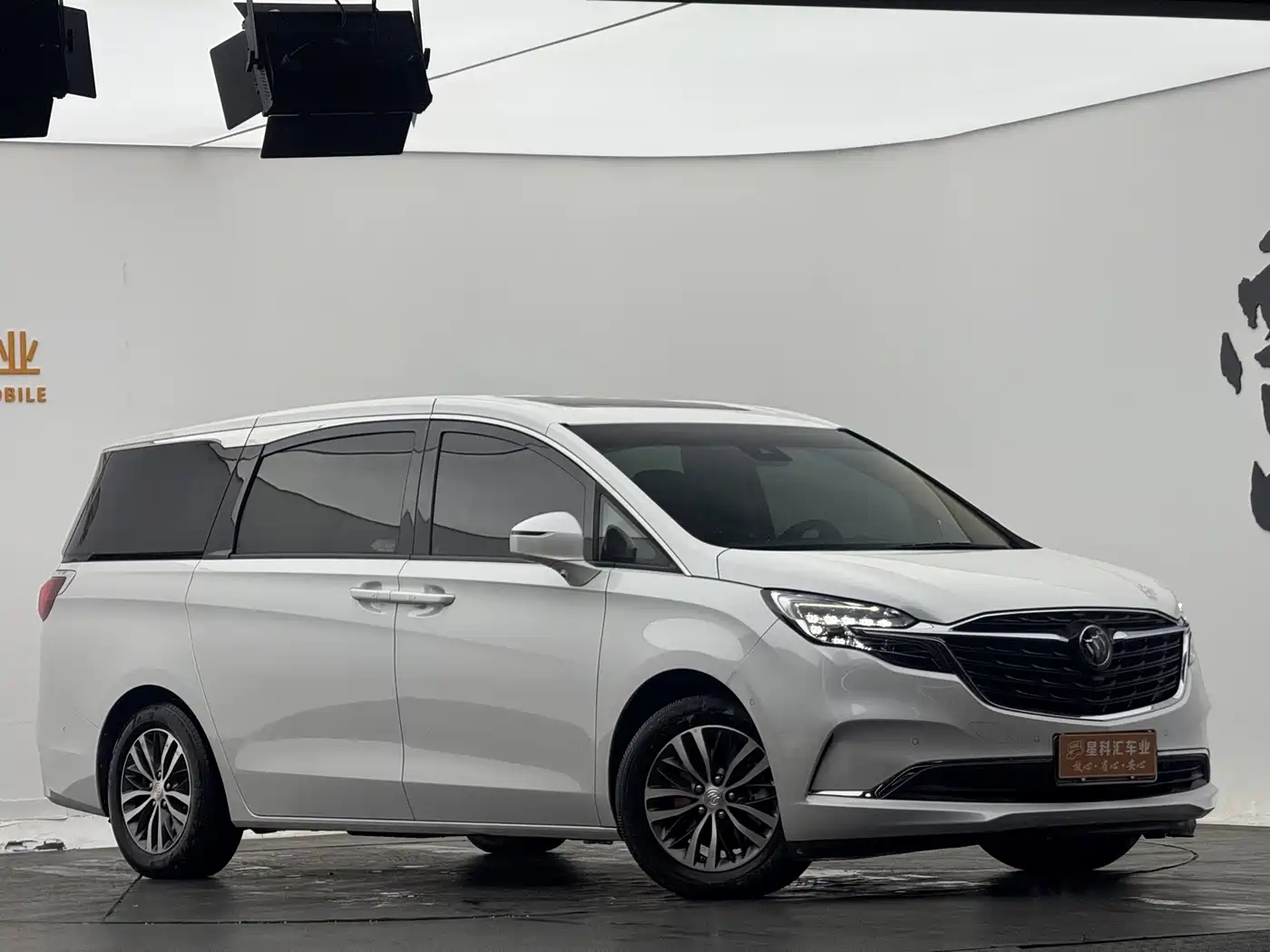 Buick GL8 2021 ES Landlord 653T Premium фото 3