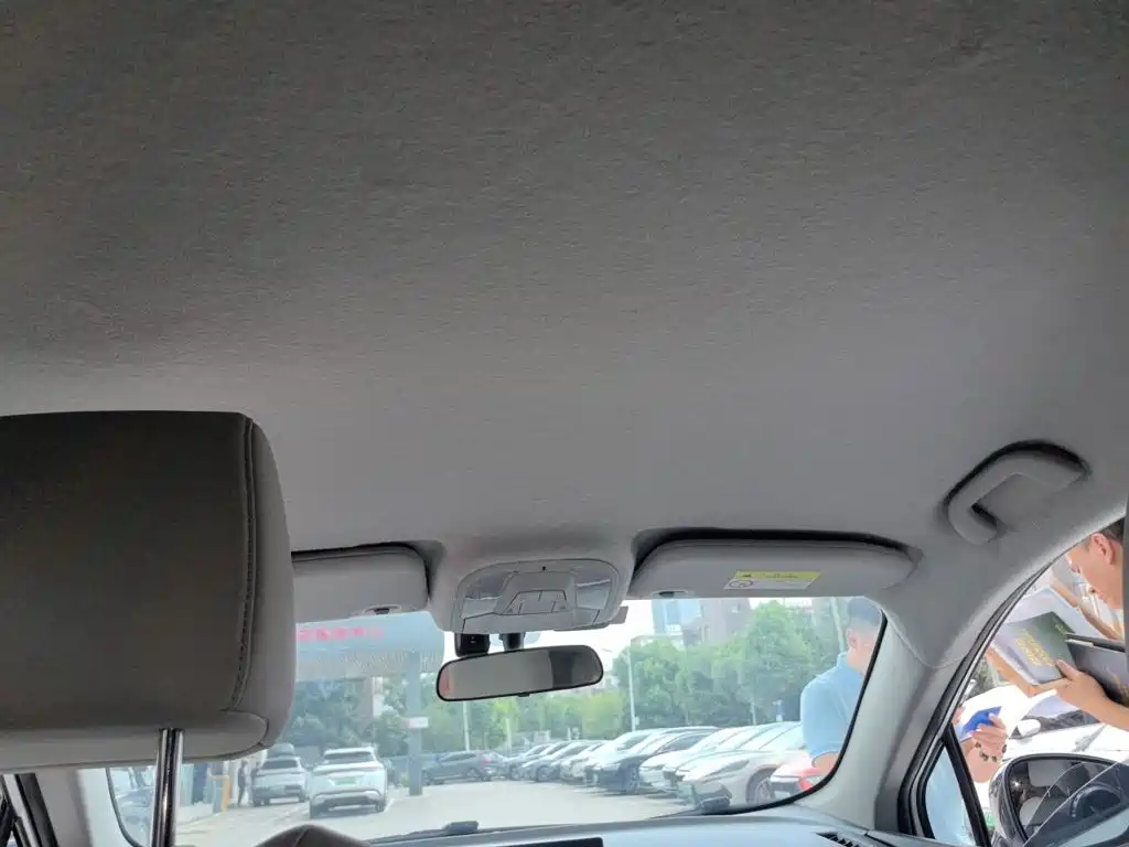 BYD Yuan Pro 2021 2021 401KM Luxury Model