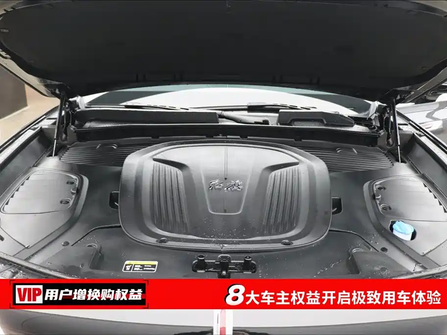 Hongqi E-HS9 2022 660km Qi Chang Edition (6-seater) фото 7