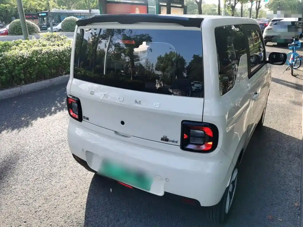 Geely Galaxy Panda 2025 2025 Panda mini 210km Vitality Bear