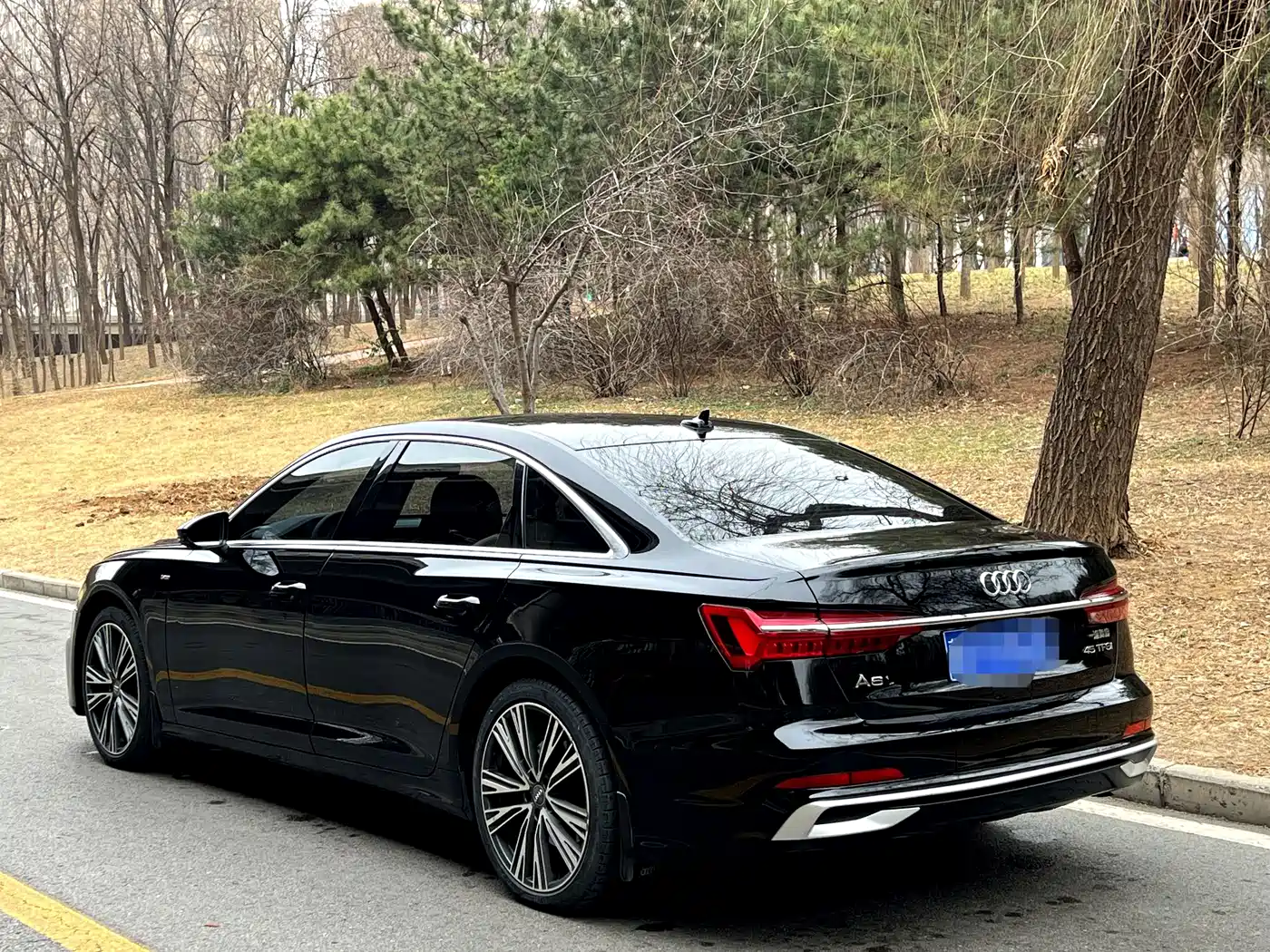 Audi A6L 2019 45 TFSI Premium Dynamic фото 4