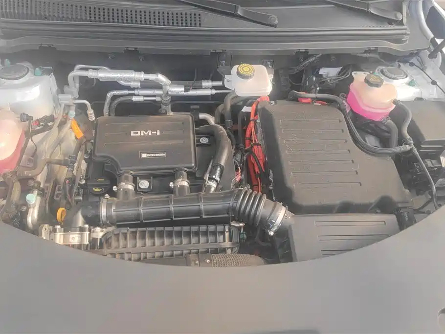 BYD Song Pro New Energy 2025 2nd Gen DM-i 75KM Surpass фото 10