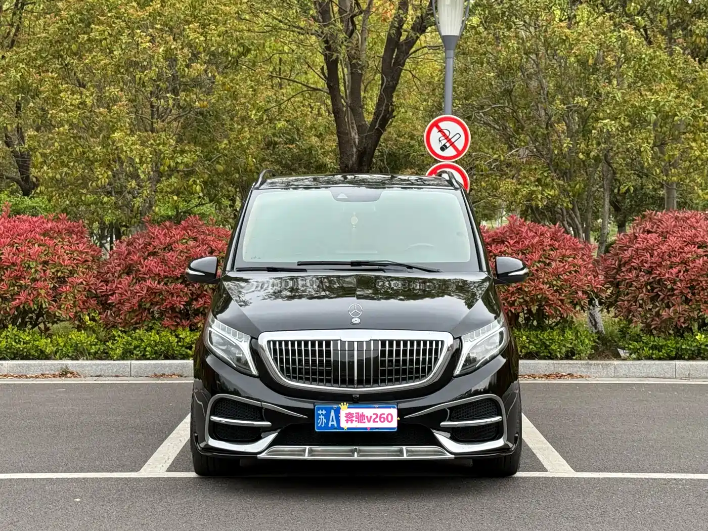 Mercedes-Benz V-Class 2020 V 260 Luxury Edition