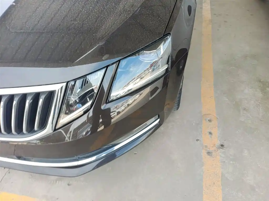 Škoda Octavia 2018 TSI280 DSG Luxury Edition фото 24