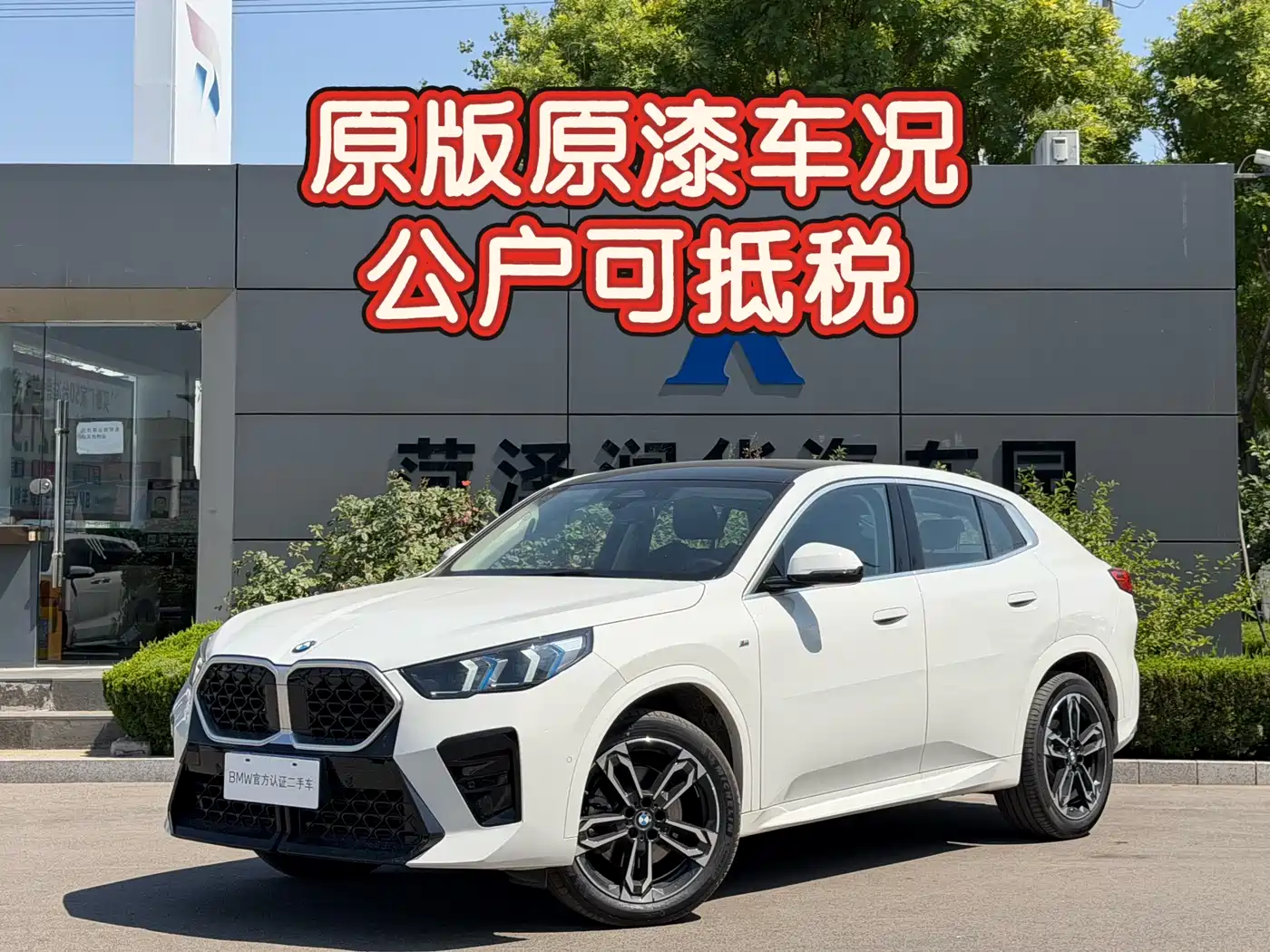 BMW X2 (Import) 2024 sDrive25i M Sport Package