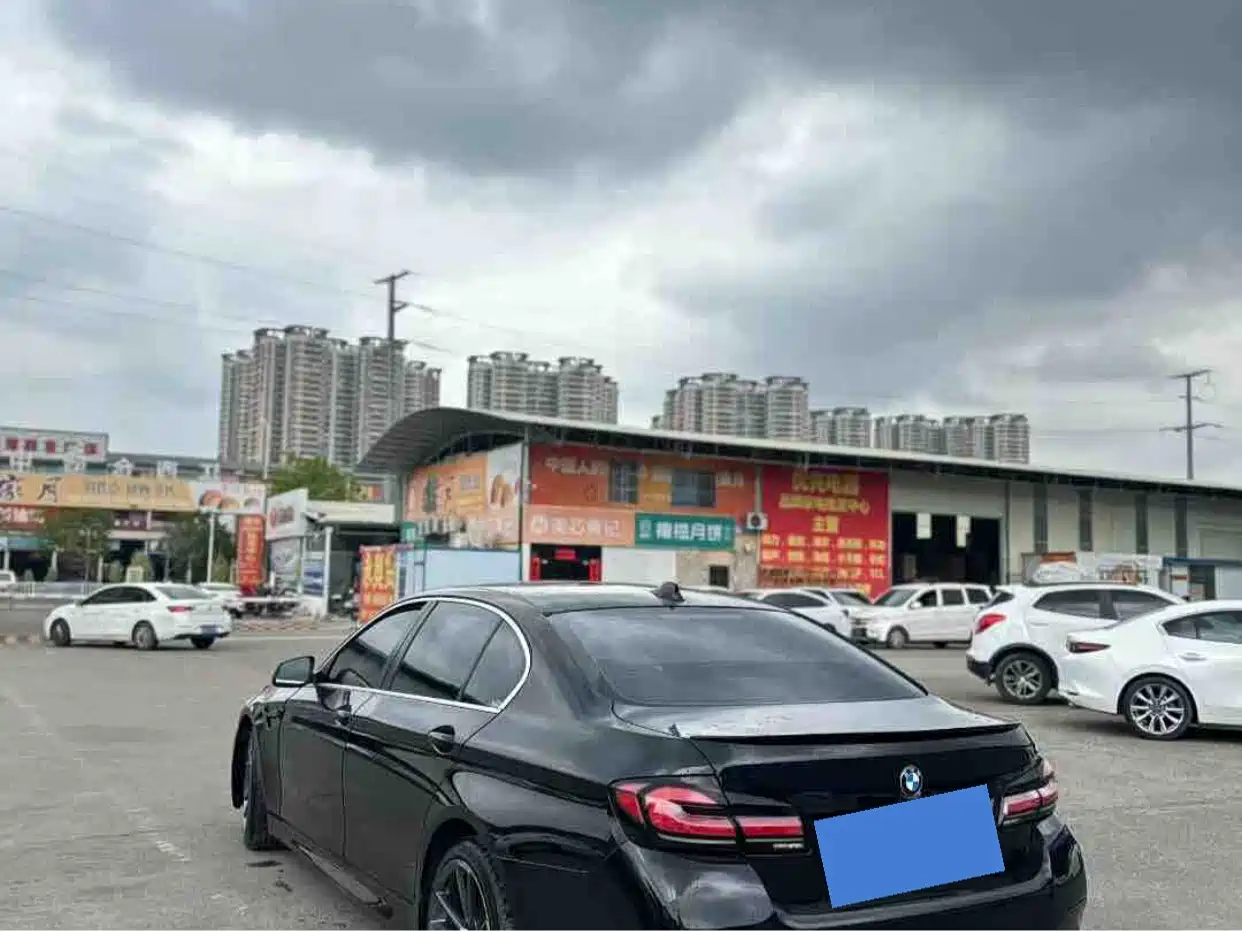 BMW 5 Series 2012 523Li Luxury фото 4
