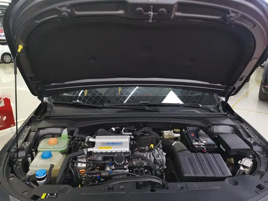 GAC Trumpchi Trumpchi Emkoo 2023 270T DCT J16 Edition фото 16