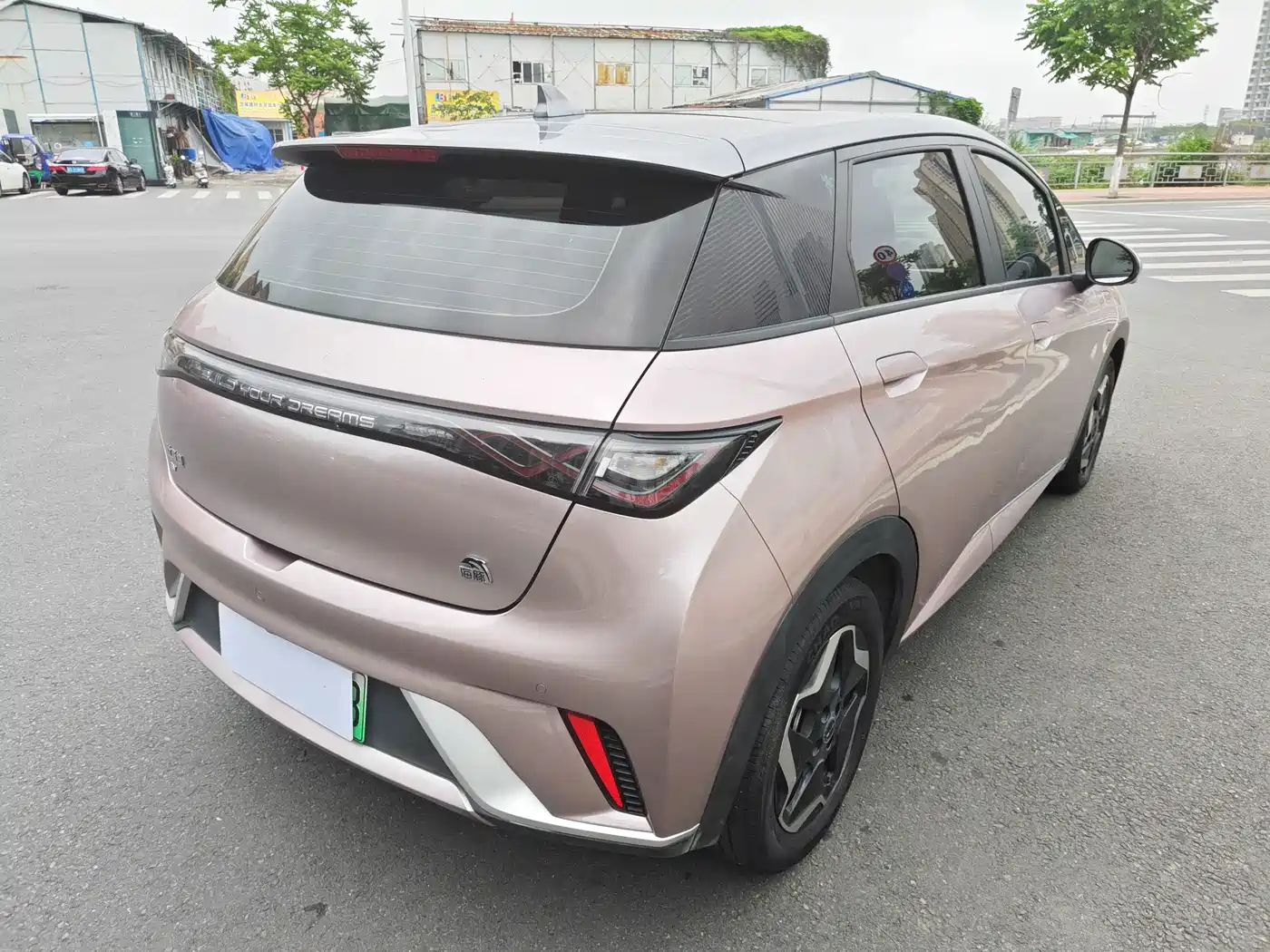 BYD DOLPHIN