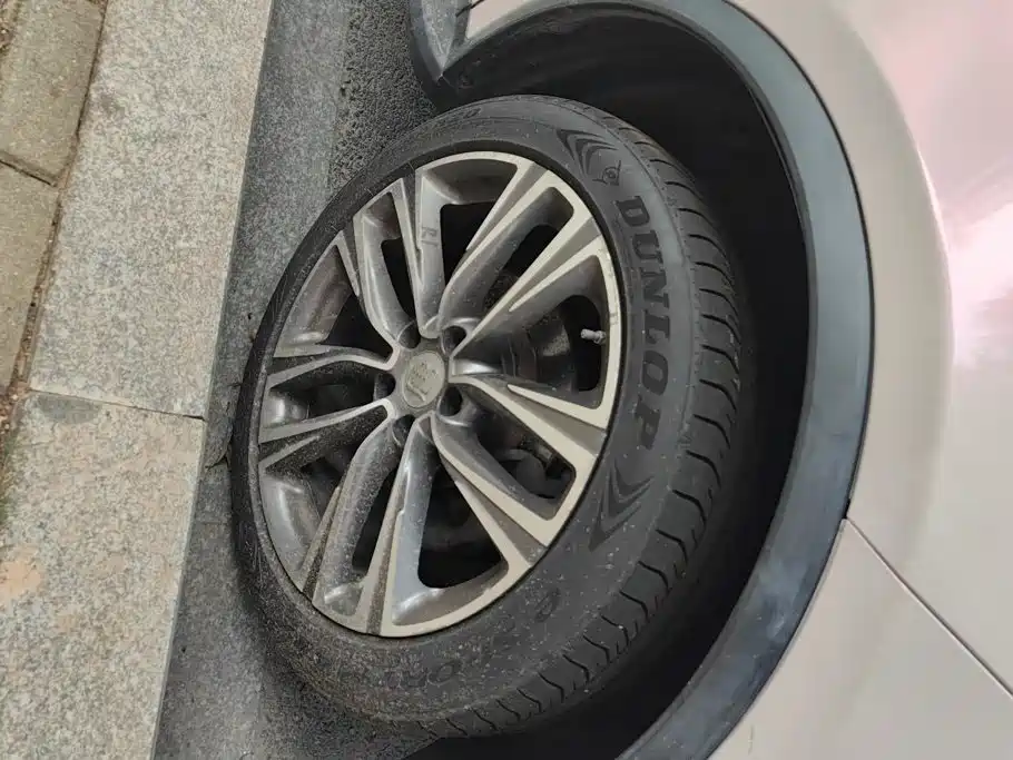 BYD Tang 2018 2018 2.0T Automatic Smart Connection Honor Edition 7-Seater China V