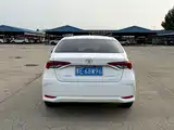 Фото 6 - Toyota Corolla