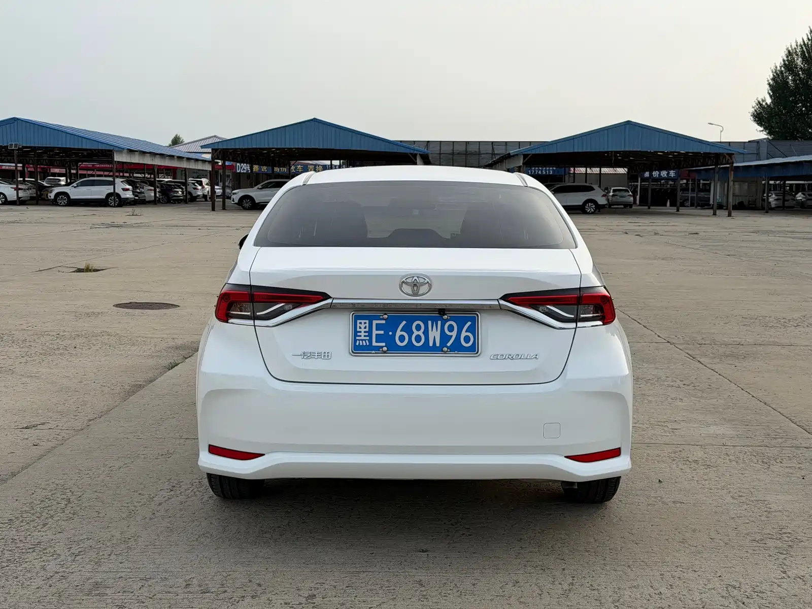 Фото 6 - Toyota Corolla