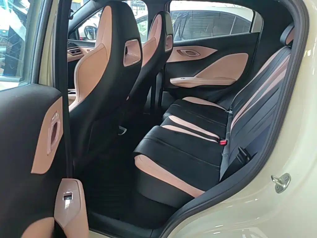 BYD Seagull 2026 2025 Smart Drive Edition 305km Vitality Version