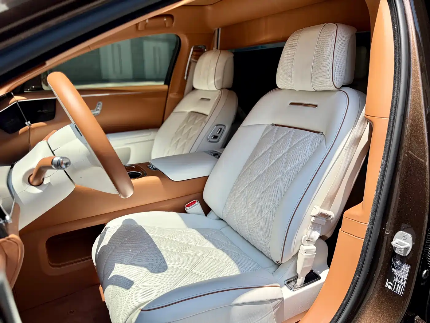 Zunjie S800 2026 2025 Pure Electric Starlight Executive 4-seater