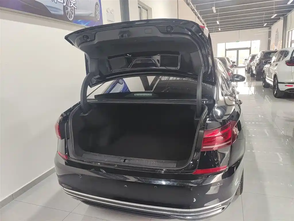 Volkswagen Passat 2024 330TSI Starlight Elite Edition фото 19