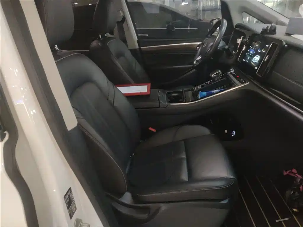 GAC Trumpchi Trumpchi M8 2021 Leading Show Series 390T Premium Edition фото 20