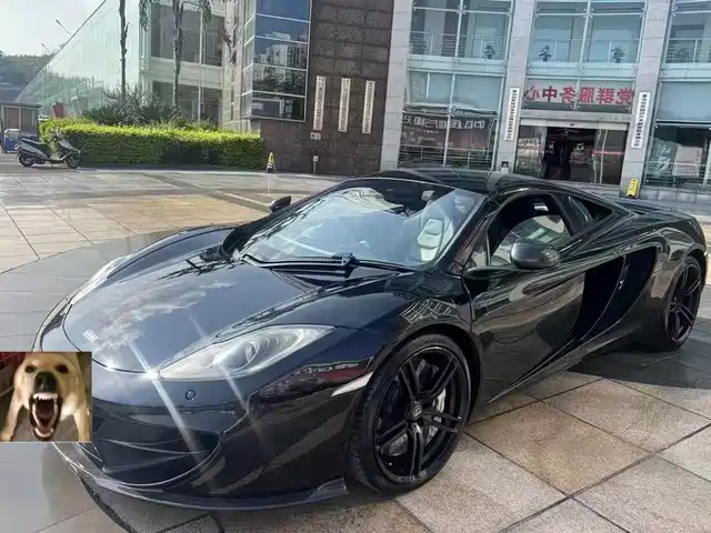  McLaren McLaren 12C 2013 3.8T COUPE