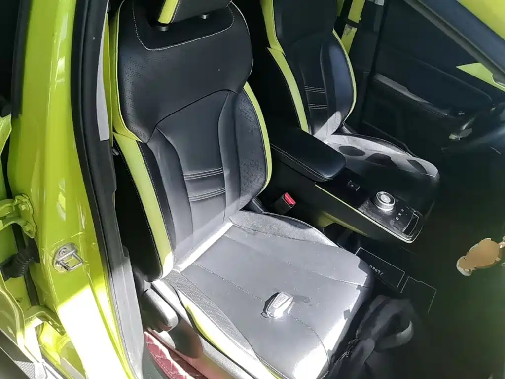 Geely Geometry E Firefly 2022 2022 401KM Thunder Tiger 4-Seater