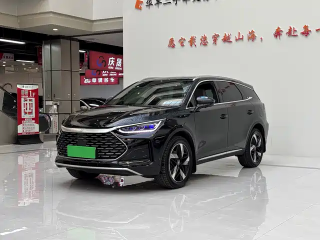 BYD TANGXIN ENERGY 2024