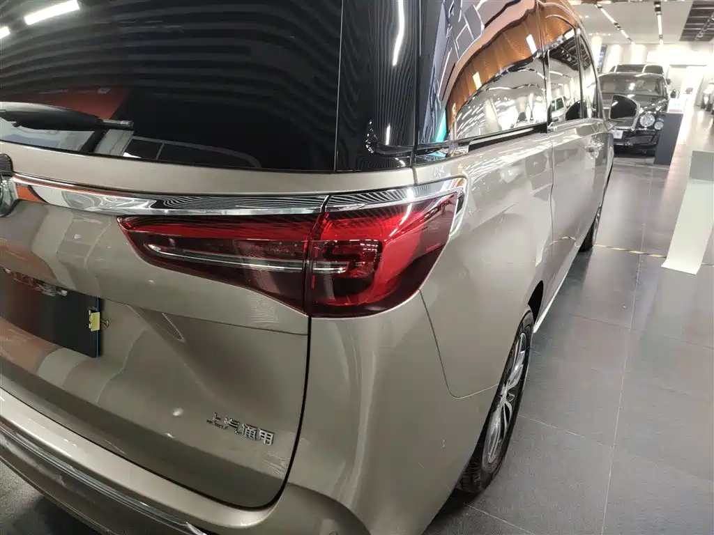 Buick GL8 2023 ES Landmaster Exclusive фото 24