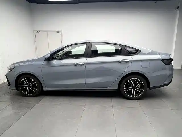 Фото 8 - Geely Binrui