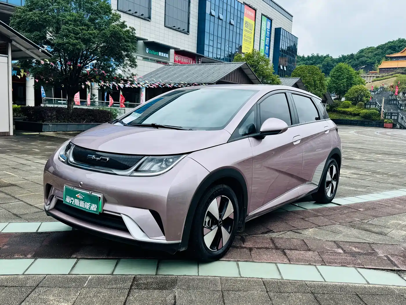 BYD Dolphin 2023 420km Freedom Edition