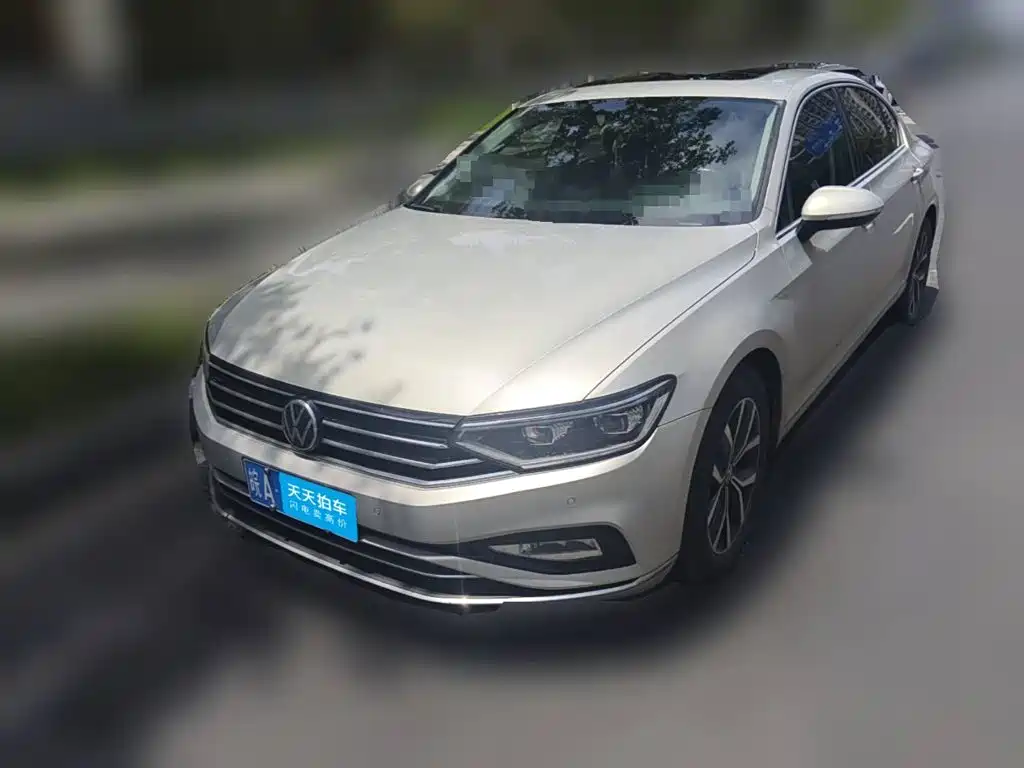 Volkswagen Magotan 2020 330TSI DSG Leading