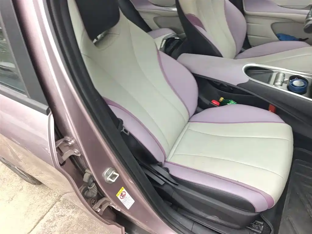 BYD Dolphin 2021 Model 405km Fashion Edition фото 25