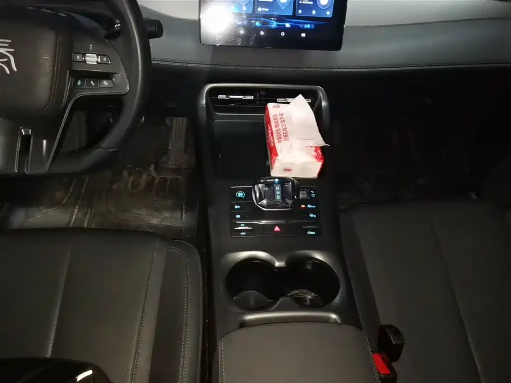 BYD Qin PLUS 2025 DM-i Smart Drive 55KM Leader фото 14