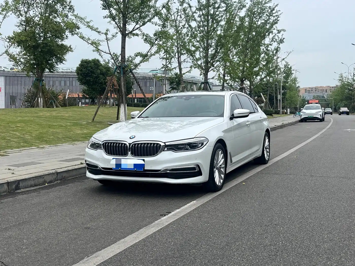 BMW 5 Series 2020 530Li Premium Luxury Package