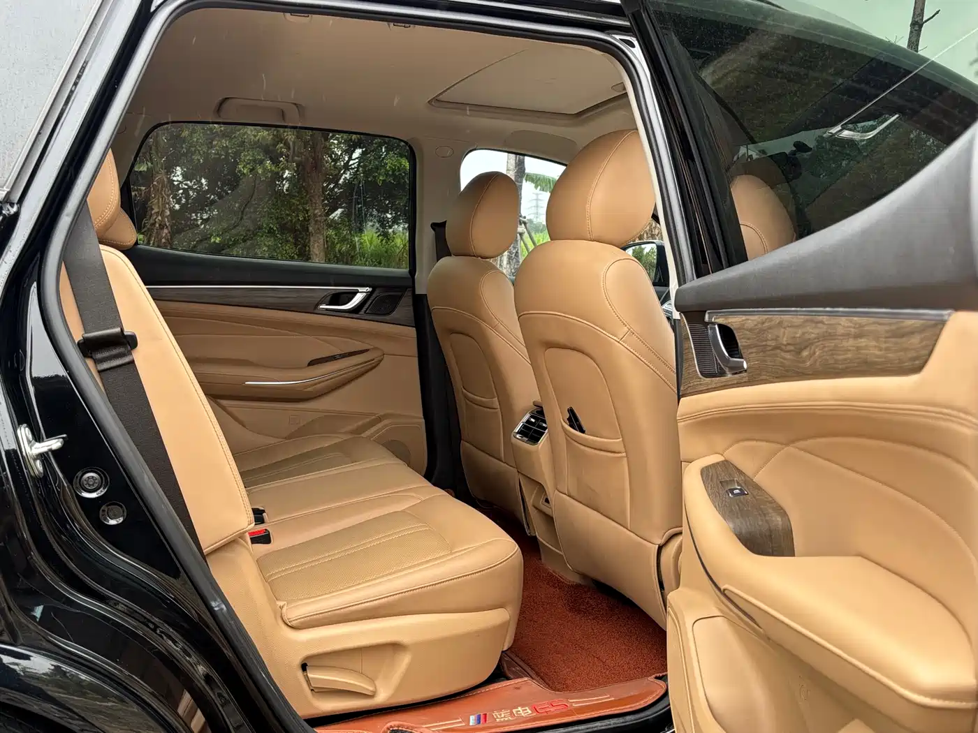 Landian E5 2024 2024 Glory Edition 100KM Comfort Type 7-Seater